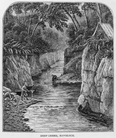 Deep Creek, Havelock [1864]