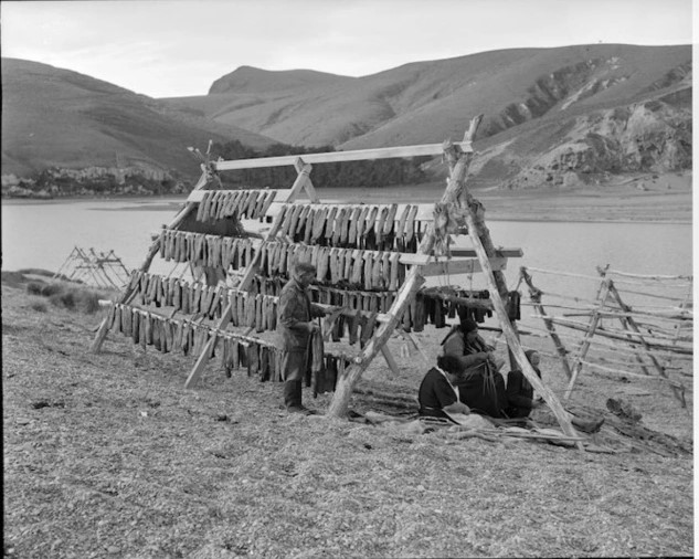 Eel drying