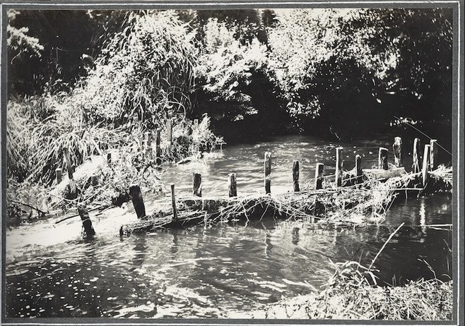 Eel weir