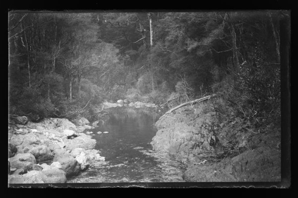 Maitai River. Hargreaves Collection 8602. Nelson Provincial Museum