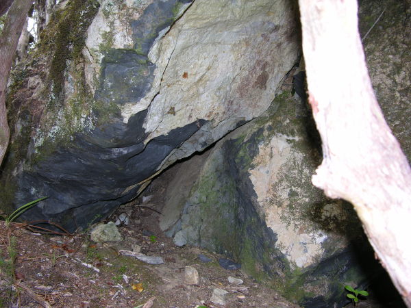 Maitai Quarry - Argillite