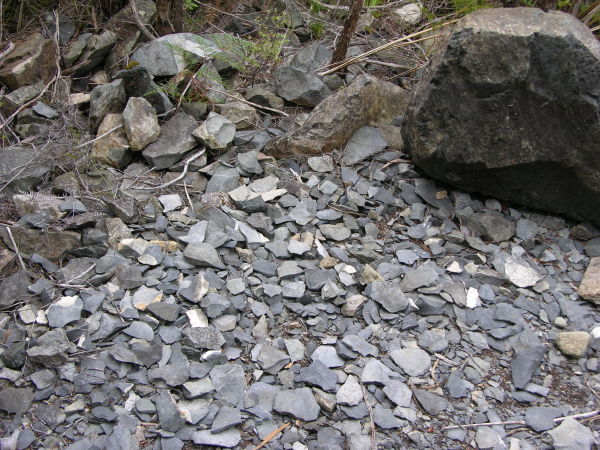 Maitai Quarry - Argillite