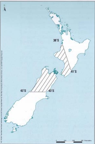 NZ Co Companys alleged purchase area