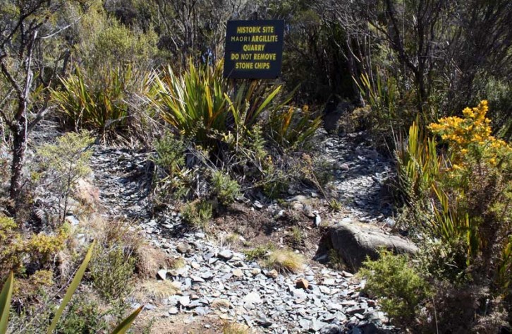 Pakohe Rushpool Quarry site 