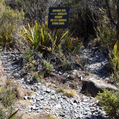 Pakohe Rushpool Quarry site image supplied by author