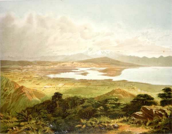 The Waimea Plains and cultivated country near Nelson / John Gully