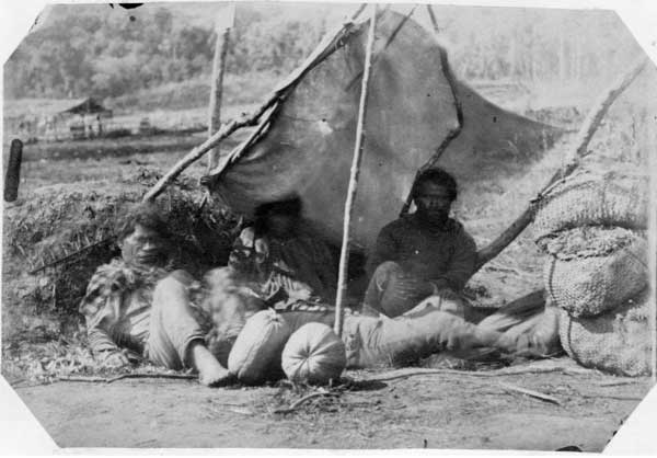 Maori group selling melons and peaches