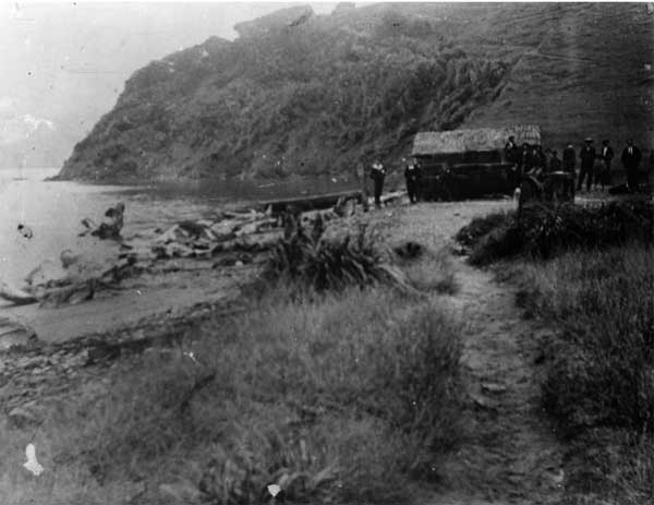 At Te Awaiti, showing a group of whalers