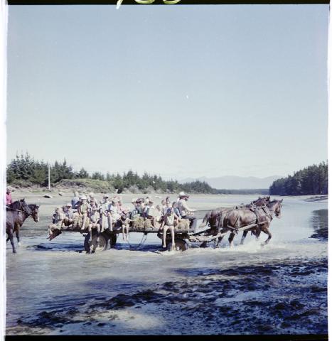 Appleby School Picnic at Rabbit Island 2