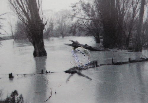 Waimea stopbank flood 1962 Cotterell Road