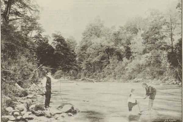 Wairoa River 1893