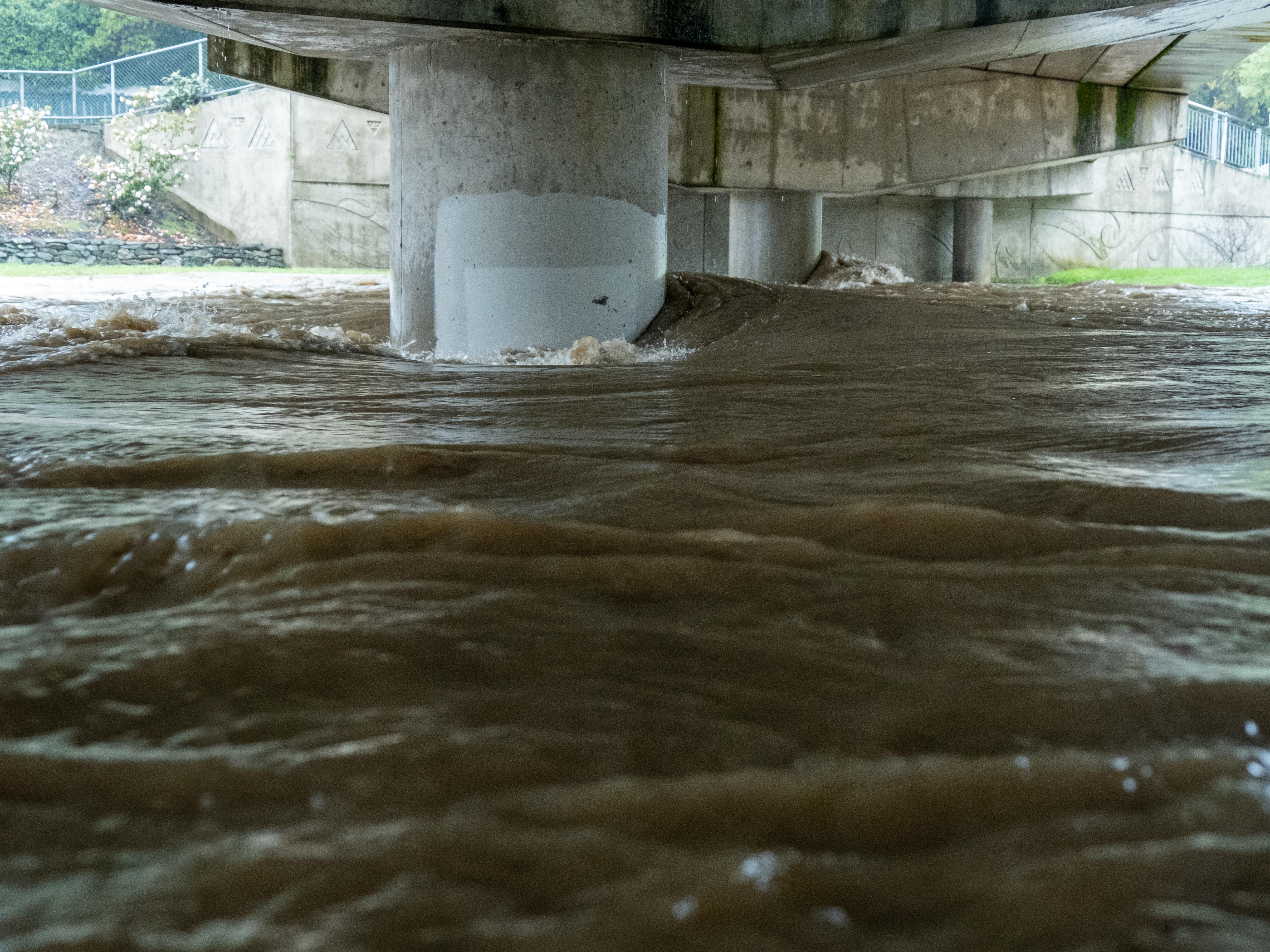 Maitai in flood