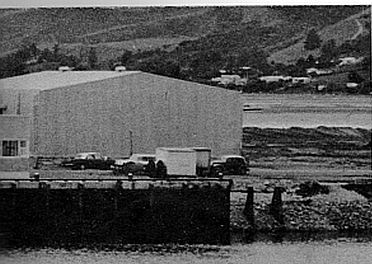 NZ Sea Products Factory, Nelson, December 1966