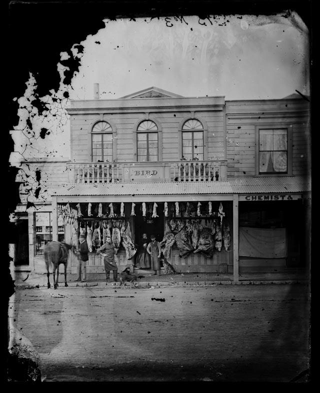 Bird Butcher Shop. Nelson Provincial Museum Davis Collection 172