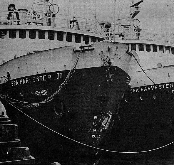 Sea Harvester trawlers, October 1968