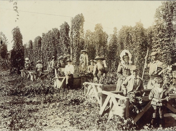 Workers at Trask's hop gardens, Annesbrook.