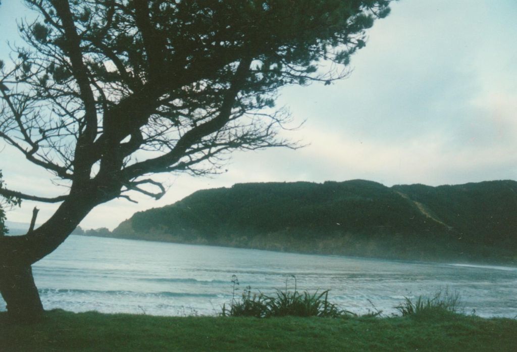 Matapere Robin Hood Bay Port Underwood