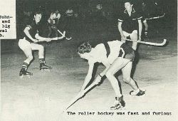 Roller hockey