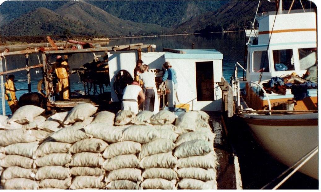  John’s first day on the mussel harvester 