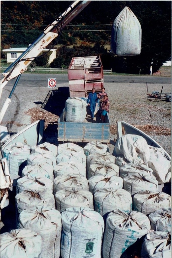  A hiab with an extension on it unloads the Pelorus Trader  onto a TNL (Rai Valley) truck at Okiwi Bay. Image courtesy John Collins.