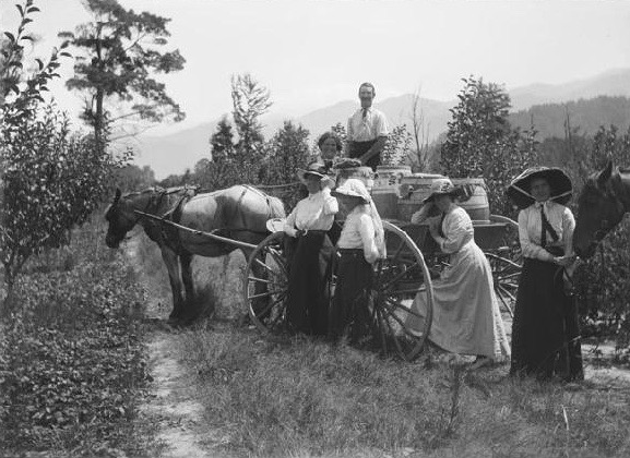 postcard Raspberry pickers