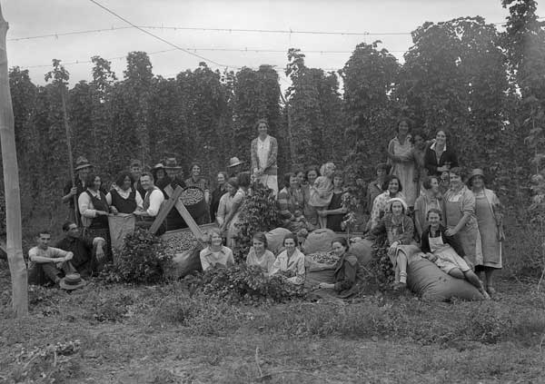 Harvest group 1945, The Nelson Provincial Museum, Ellis Dudgeon Collection