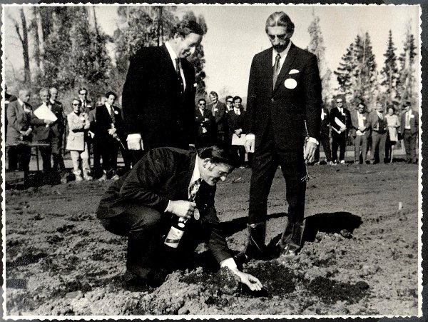 Frank Yukich planting a vine, Marlborough Museum, 19951830001-3