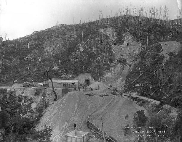 Golden Ridge Mine, The Nelson Provincial Museum, Tyree Studio Collection 182052/