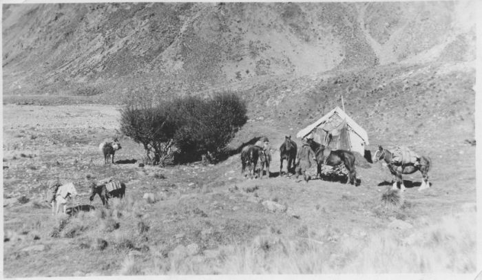 Burnt Whare hut near the Acheron River on Molesworth Station [Joe Maxted on righ