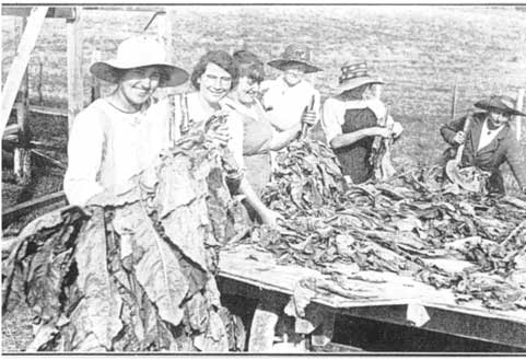 Tying leaves onto sticks