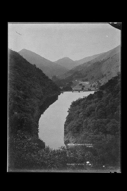 Nelson's Water Supply. The old Brook reservoir is in the background. 323209  Nel