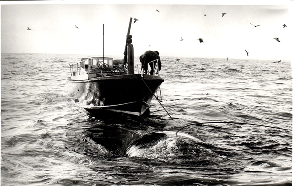 Perano gunner at work, c.1960,