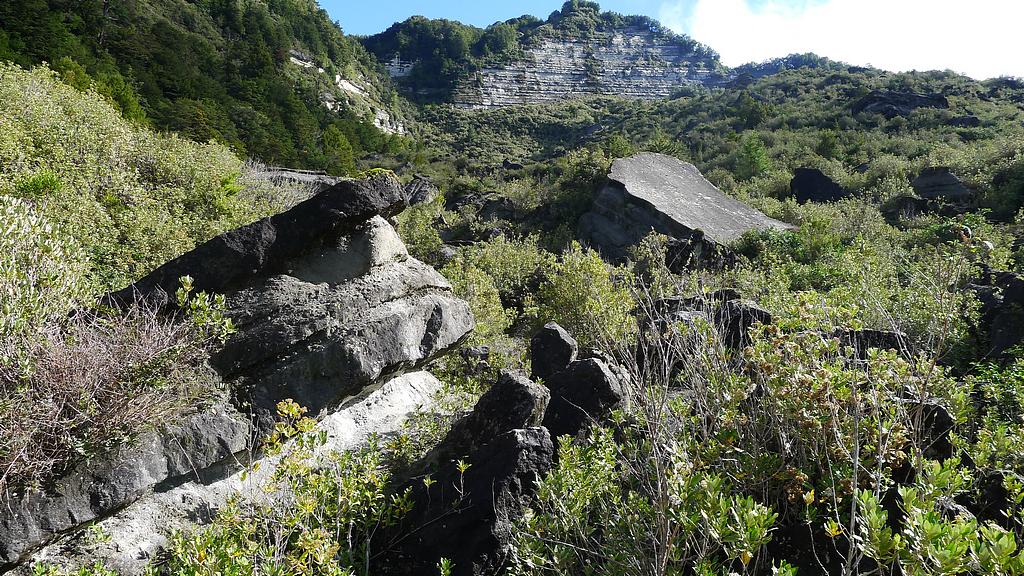 Murchison fault