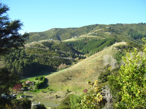 Roberts Edible Tree Crops Far