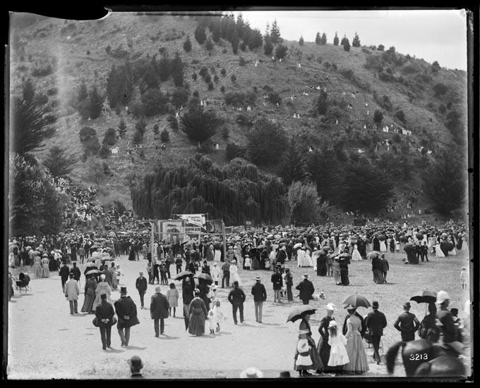 Botanical Reserve Jubilee Celebrations 1877. Nelson Provincial Museum Tyree Studio Collection 181976