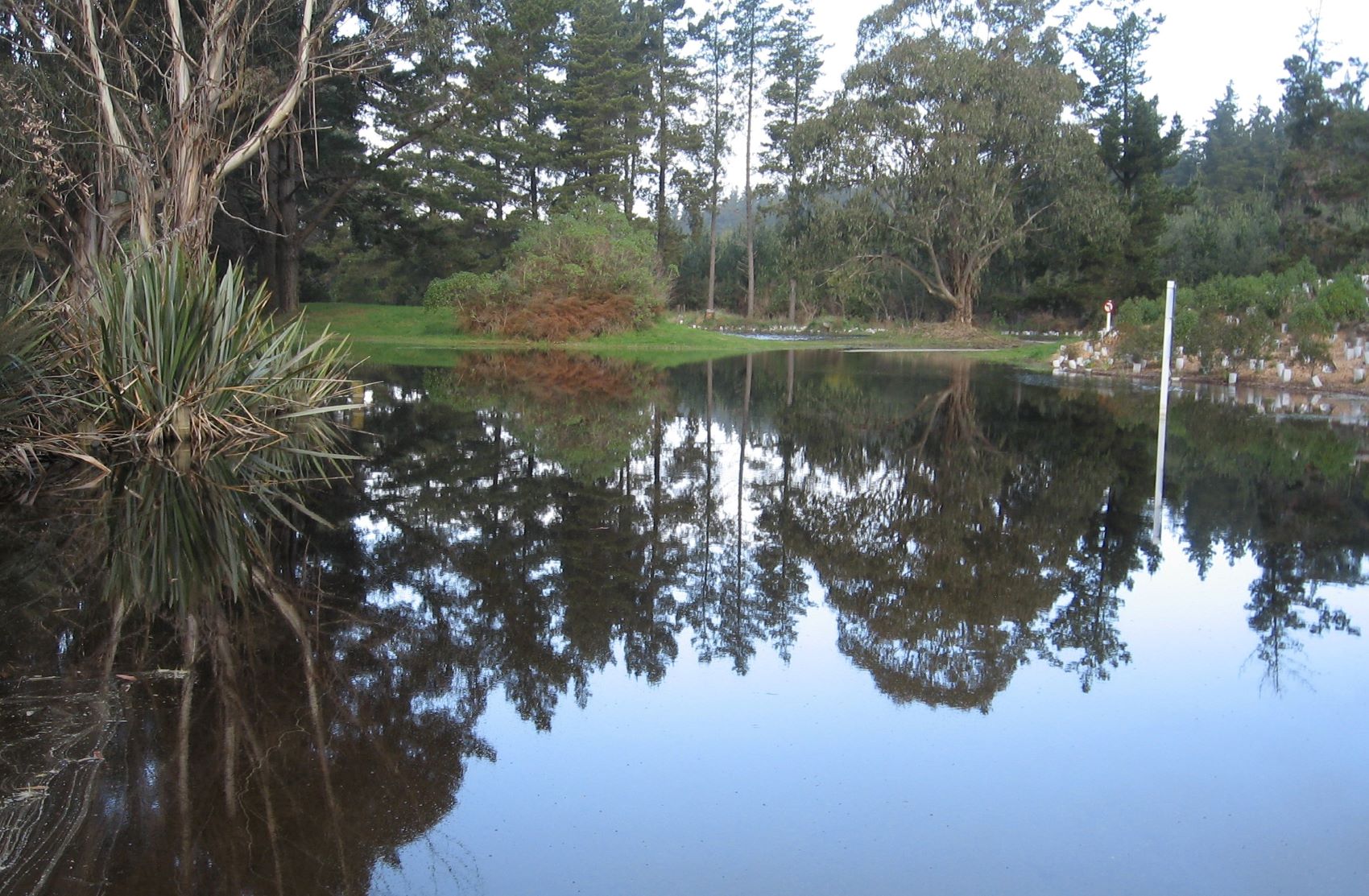 Photo of flooding on the Island