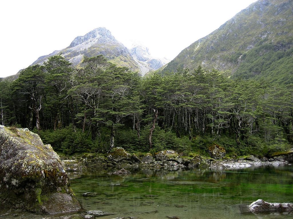 Nelson Lakes Blue lake