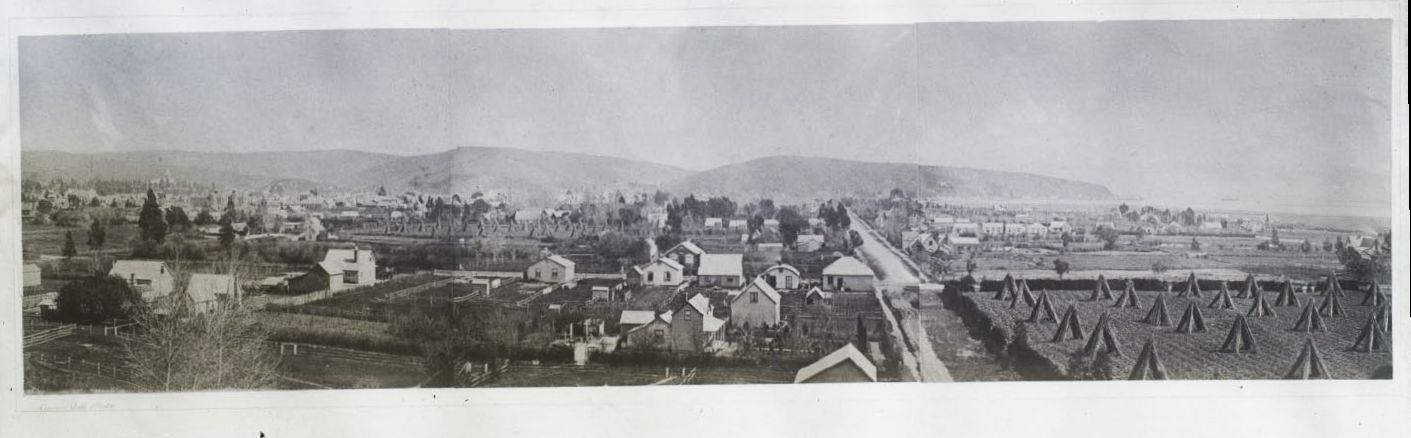 Nelson Panorama 1868