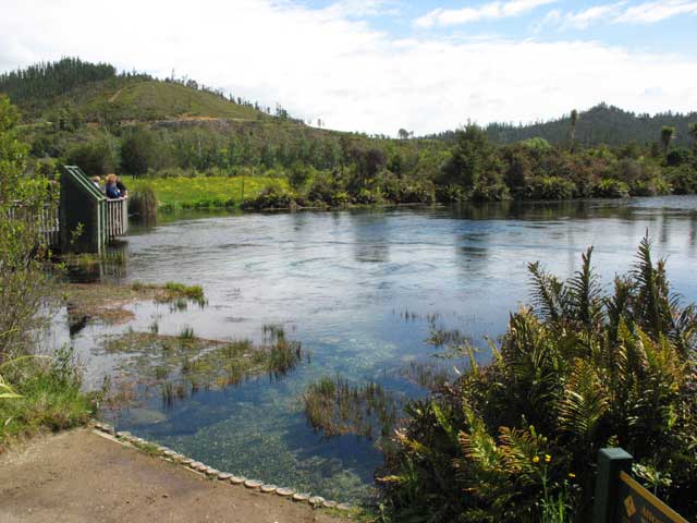 Pupu Springs viewing platform