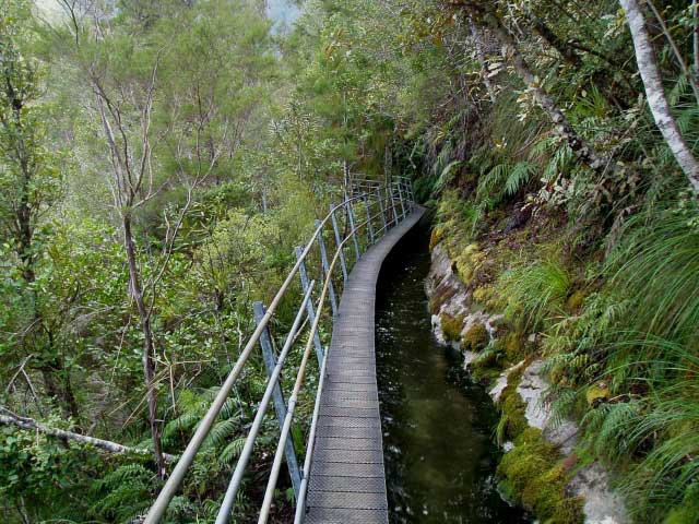 Pupu Springs walkway