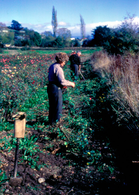 Samuels Lowes Rima Jim in nursery April1962