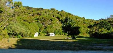 Totaranui camp