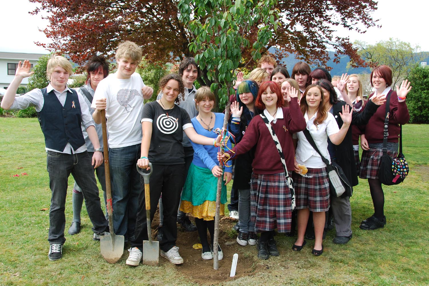 Nayland. 2008 NaAGS with Diversity tree 